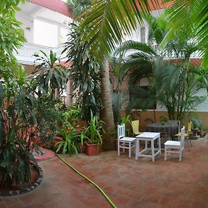 Daphne Hotel